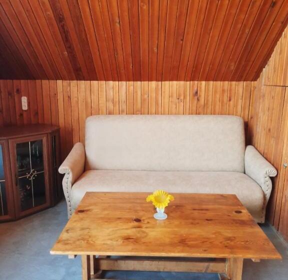 پانسیون Horizont Borjomi