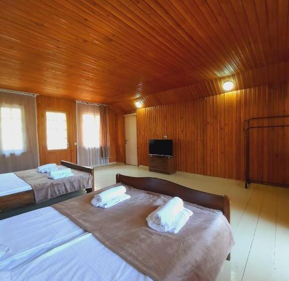 پانسیون Horizont Borjomi