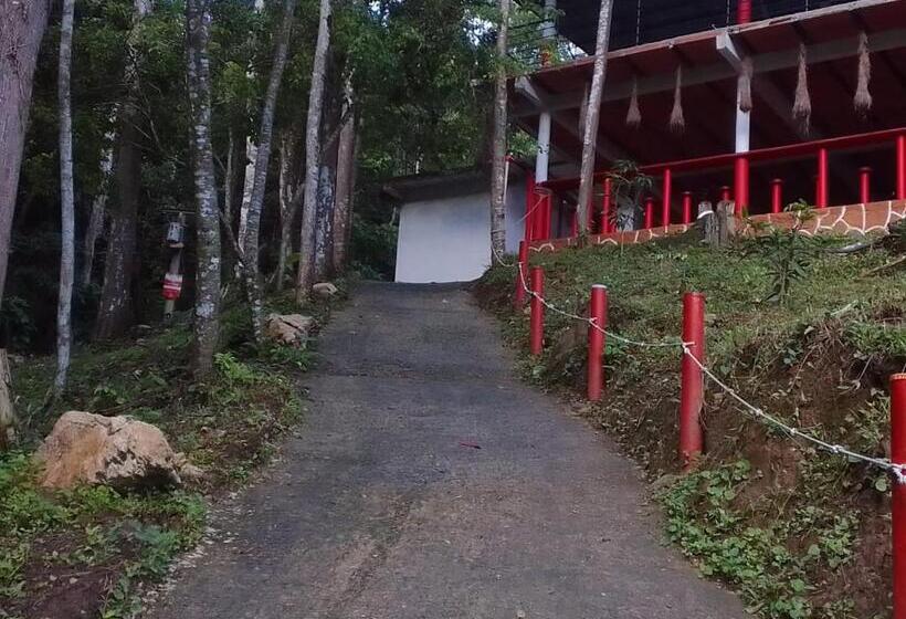 Пансион Hostal La Gran Ceci