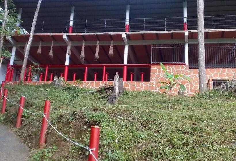 Пансион Hostal La Gran Ceci