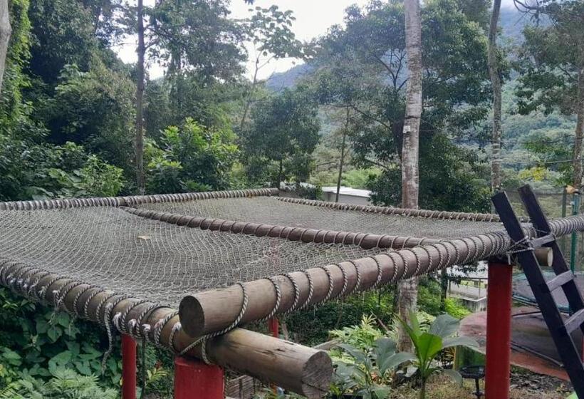 Пансион Hostal La Gran Ceci