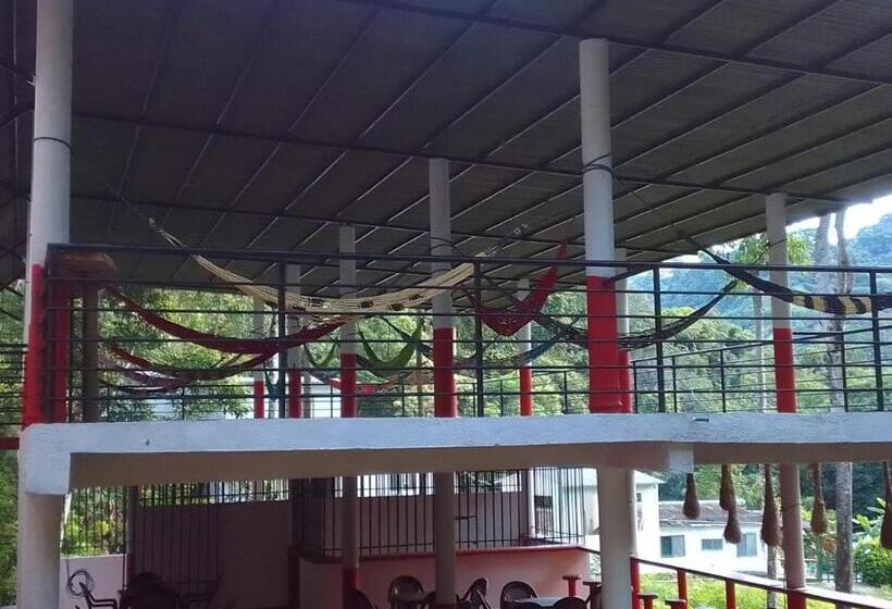 پانسیون Hostal La Gran Ceci