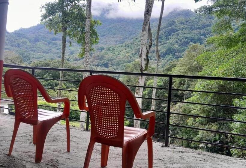 Пансион Hostal La Gran Ceci