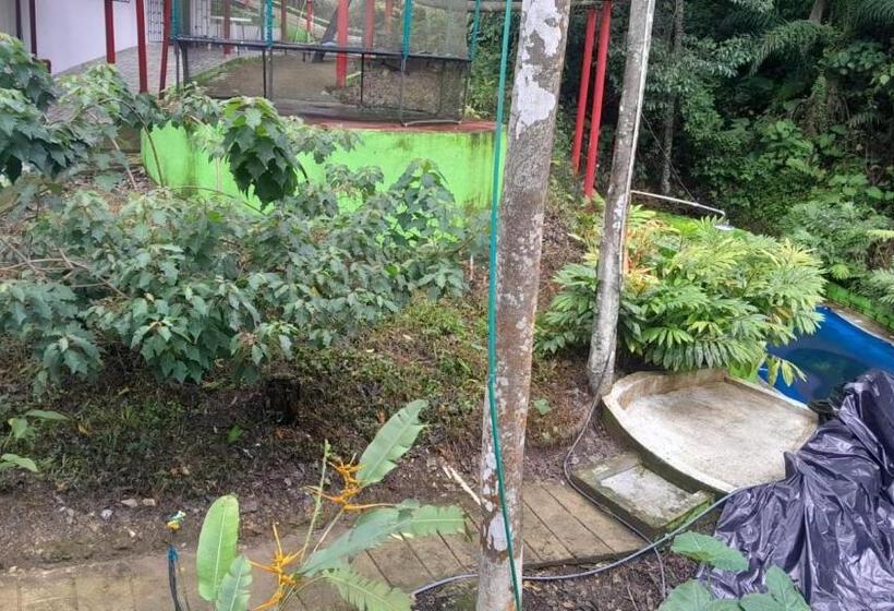 Пансион Hostal La Gran Ceci