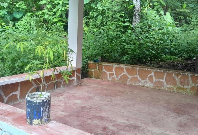 Пансион Hostal La Gran Ceci