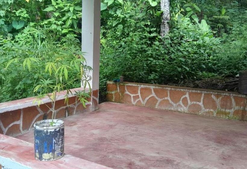 Пансион Hostal La Gran Ceci