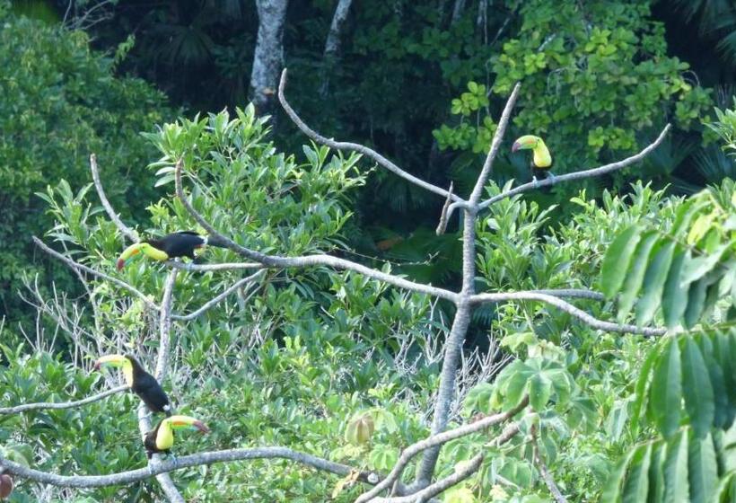 Пансион Hostal La Gran Ceci