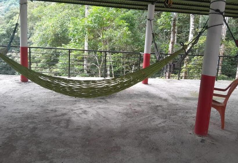 پانسیون Hostal La Gran Ceci