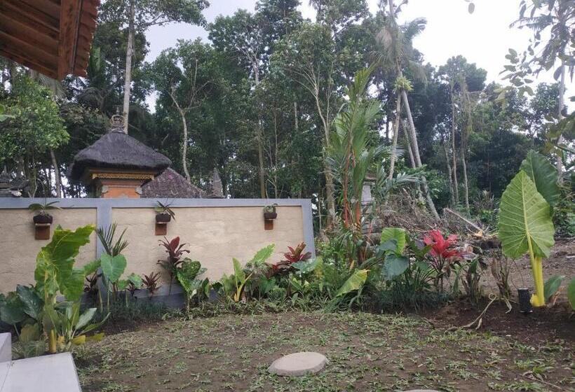 פנסיון Lami Guest House By Ton Solutions