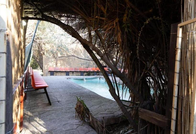 פנסיון My Little Africa