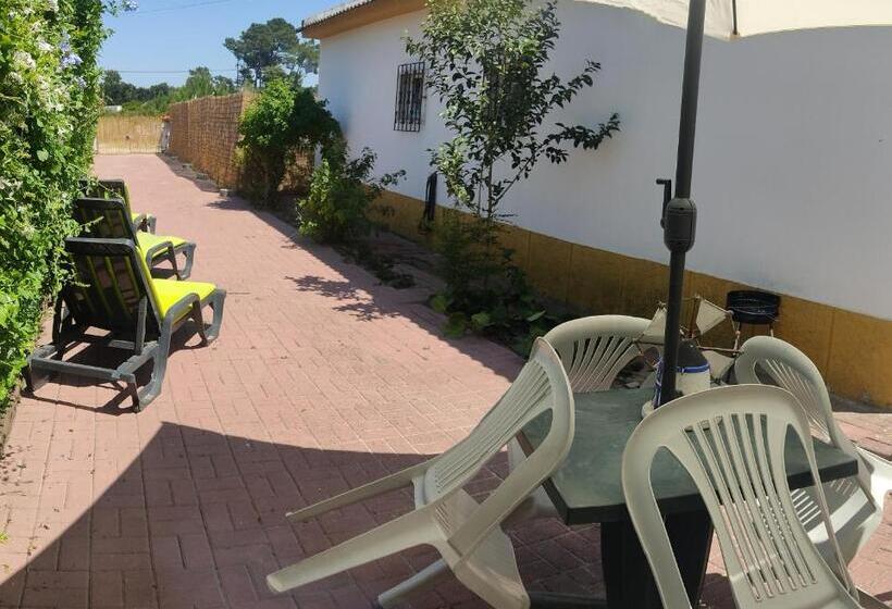 بنسيون Rau Natura Studio