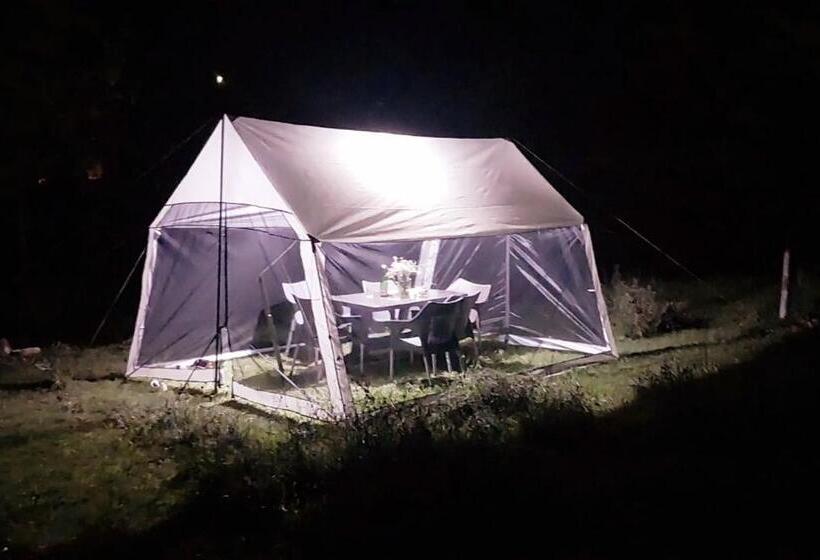 Пансион Small House