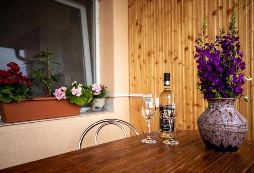 ペンション Vila Victoria