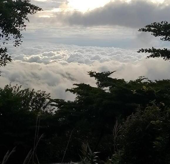 Курорт ฟ้ากำหนด ภูทับเบิก