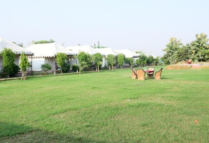 אתר נופש Jungle Enclave   Ranthambore