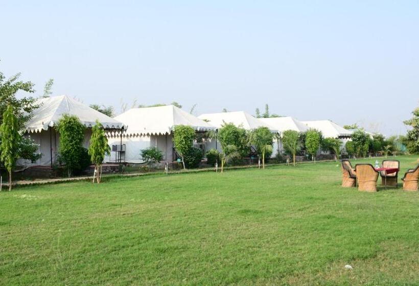 אתר נופש Jungle Enclave   Ranthambore