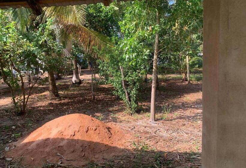 Suna Kwa Mwinyi Lodge