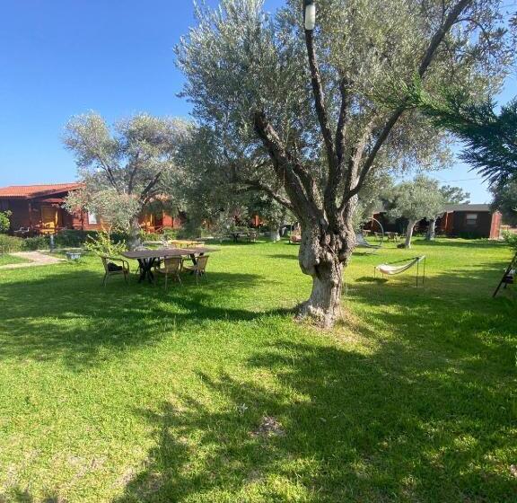 Suzi Nin Bahçesi Bungalov Evler