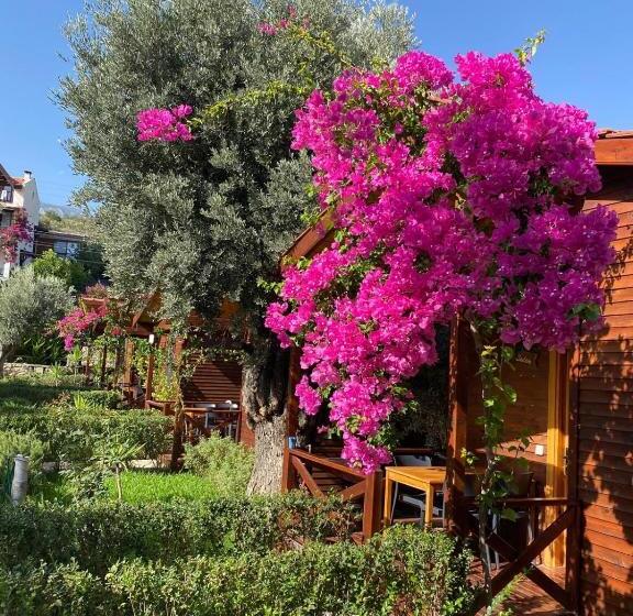 Suzi Nin Bahçesi Bungalov Evler