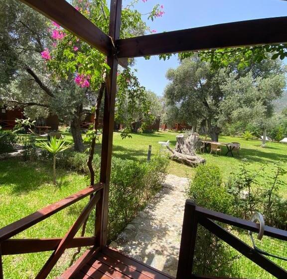 Suzi Nin Bahçesi Bungalov Evler