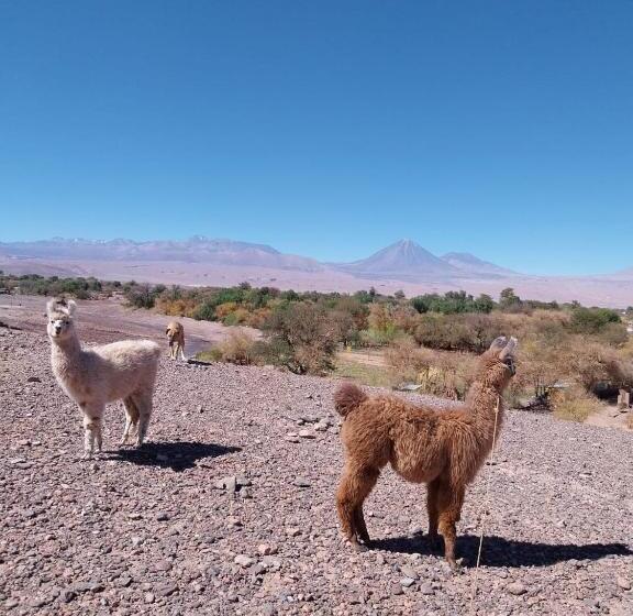 호스텔 Estancia Luza