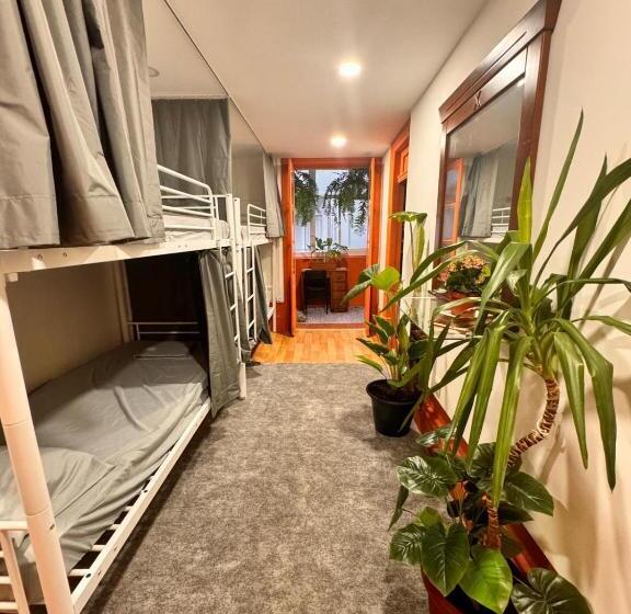 هاستل Samba Guesthouse