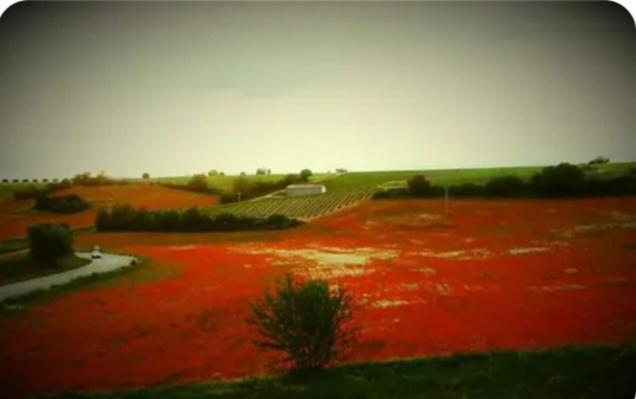 ベッドアンドブレックファースト Bel Canto