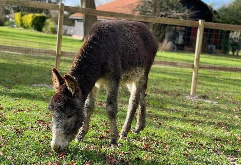 Bed and Breakfast Chambre D Hôtes Airial L Uni Vert D Azur