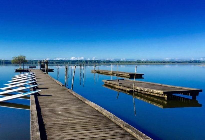 Bed and Breakfast Chambre D Hôtes Airial L Uni Vert D Azur