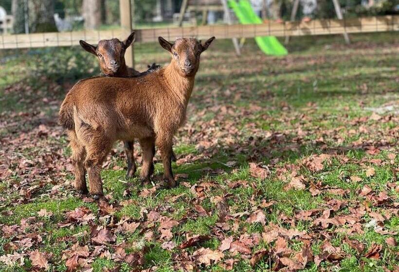 Bed and Breakfast Chambre D Hôtes Airial L Uni Vert D Azur