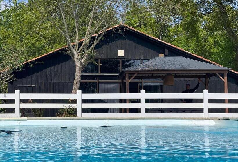 Bed and Breakfast Chambre D Hôtes Airial L Uni Vert D Azur