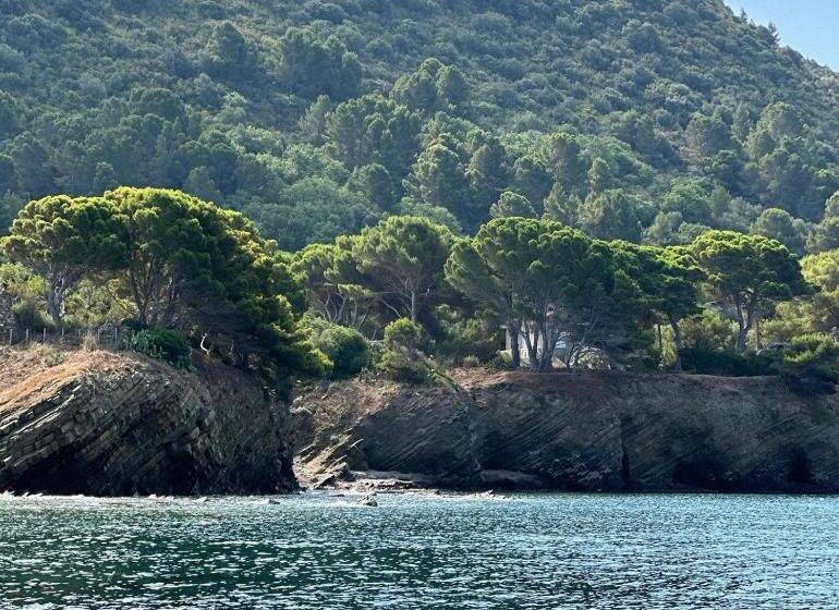 민박 Dolce Risveglio