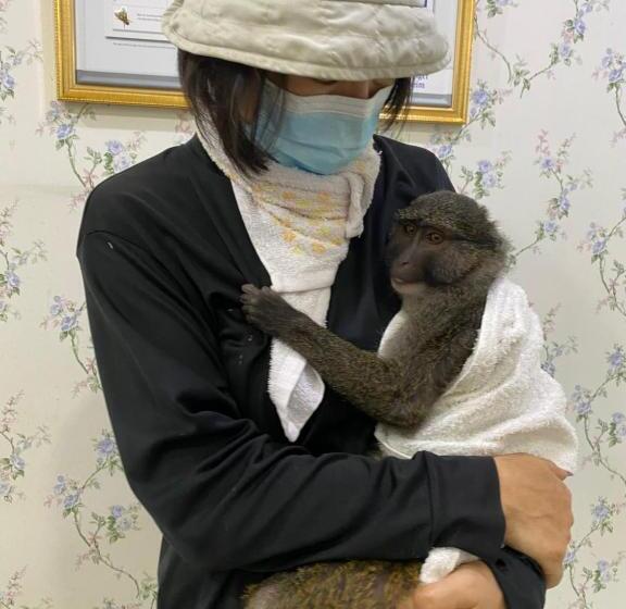 Denen Resort&minizoo