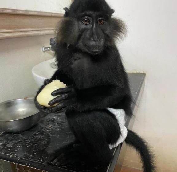 Denen Resort&minizoo