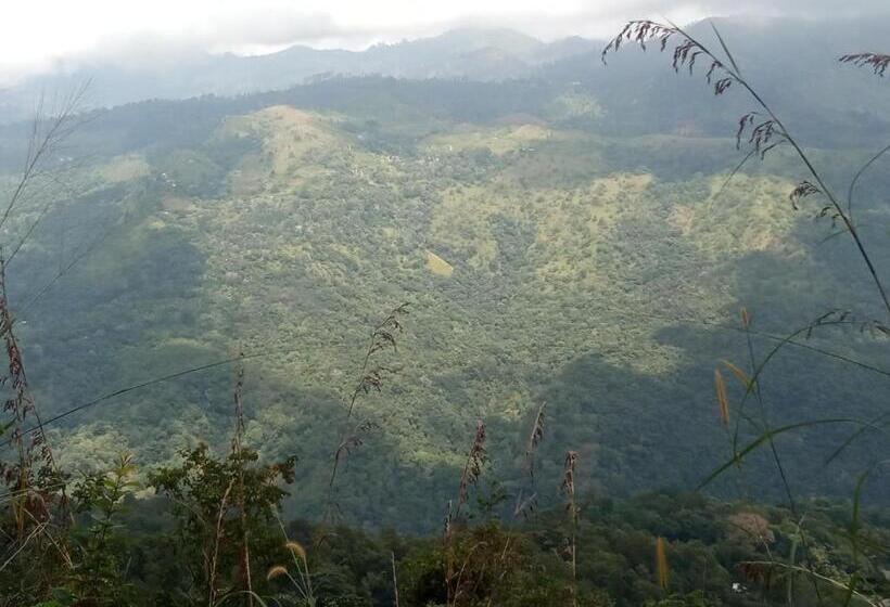 Отель Garusinha