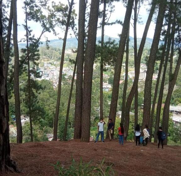 Отель Garusinha