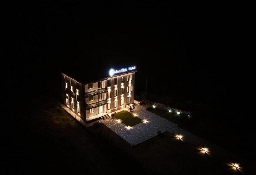 ホテル Montflux