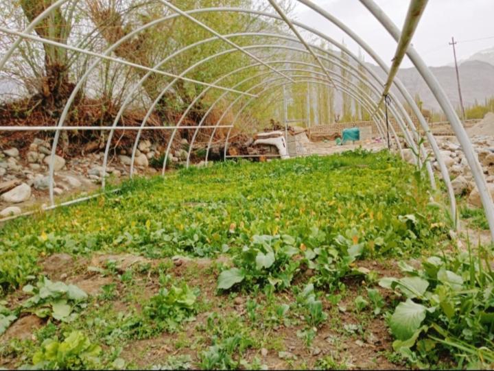 בית מלון כפרי Track N Dine