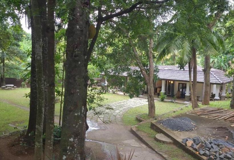 Отель Villa D55