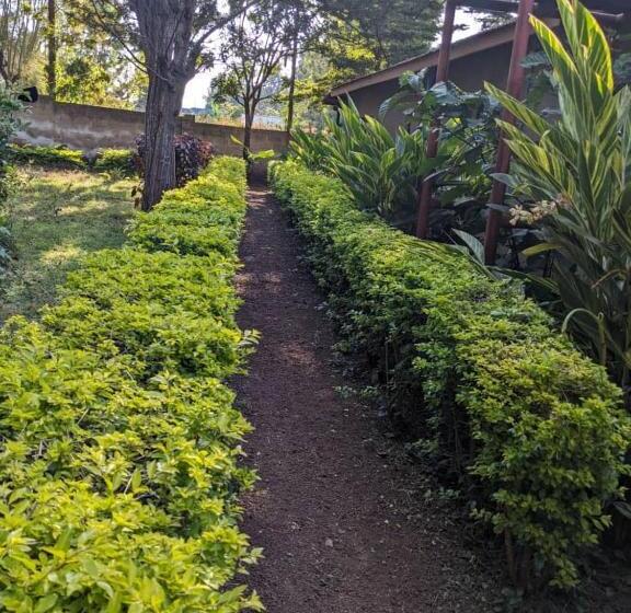 Karatu Bed And Breakfast