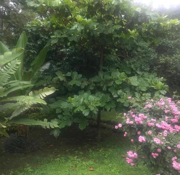 Karatu Bed And Breakfast