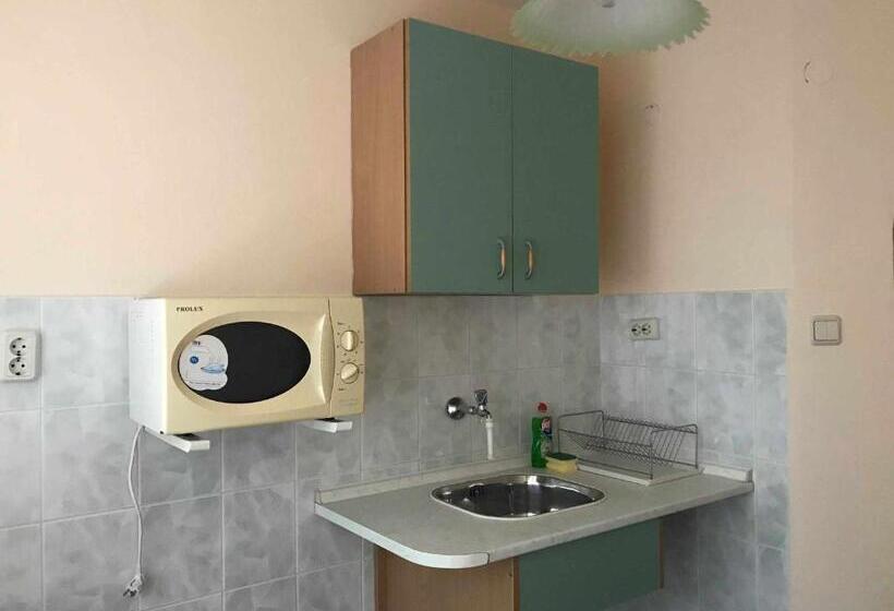 بنسيون стаи за гости ники тити