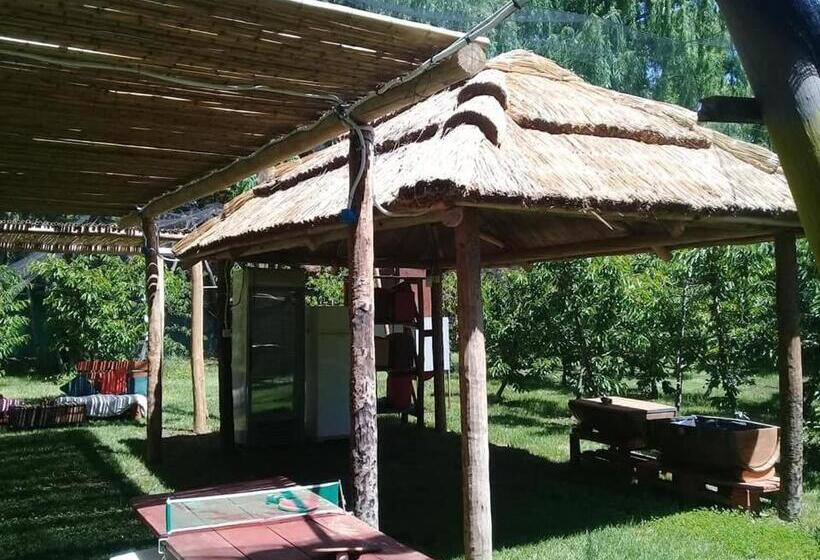 ペンション Complejo La Virginia