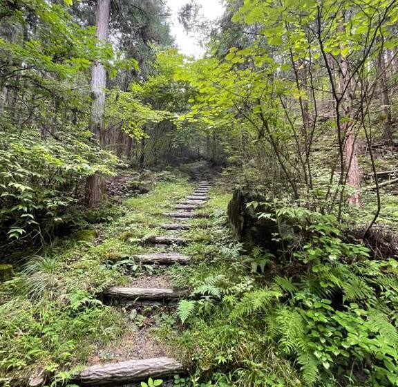 膳宿费 Homestay Hanihoheto