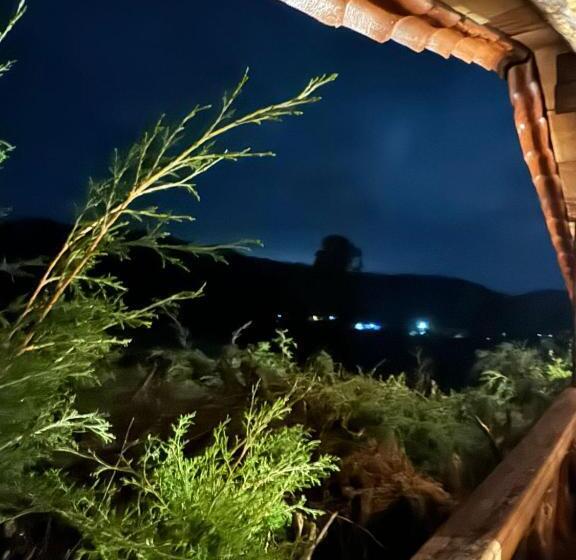 פנסיון Hostal Teotlaneztli