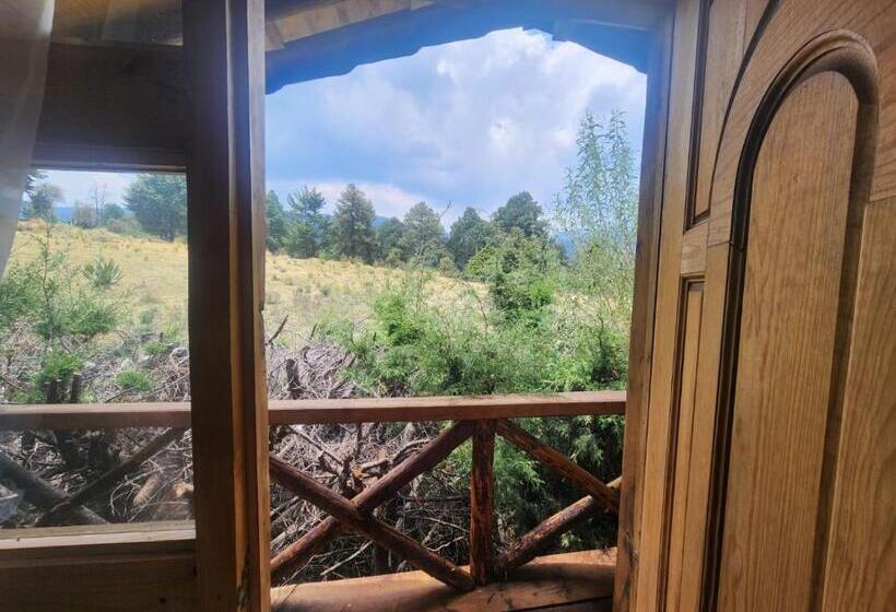 ペンション Hostal Teotlaneztli