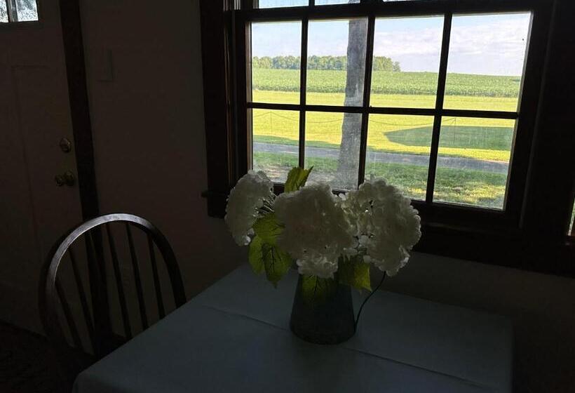 פנסיון Kimbers Farm