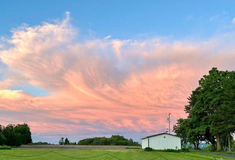 פנסיון Kimbers Farm