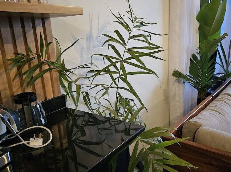 پانسیون Muguet By The Ibiscot