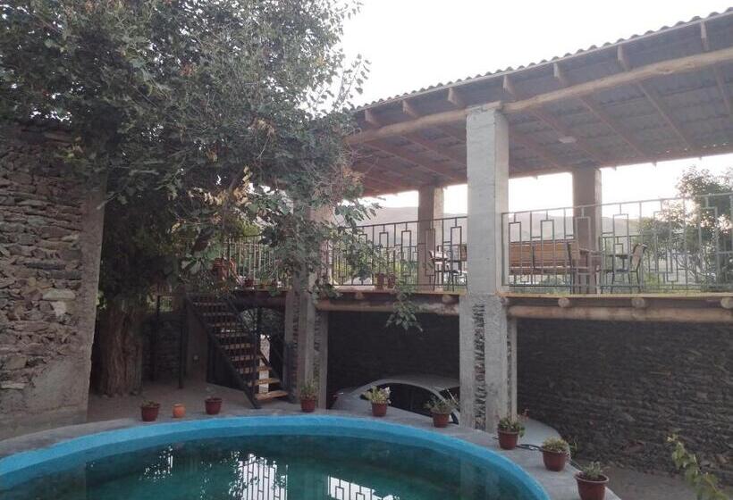 بنسيون Nosir Guesthouse